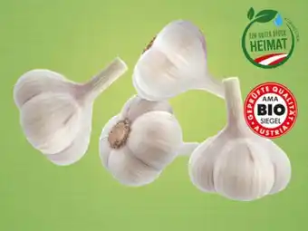 Lidl Bio knoblauch aus dem burgenland Angebot