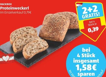 Hofer Backbox Proteinweckerl Angebot