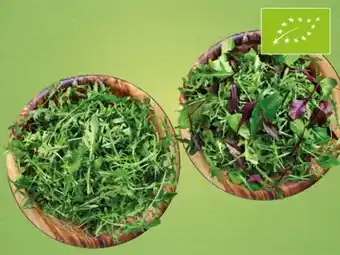 Lidl Bio mix-salat, bio rucola oder bio vogerlsalat Angebot