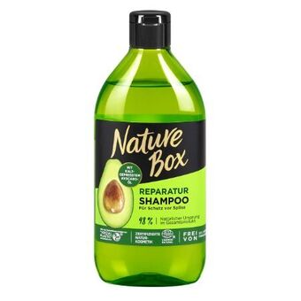 dm Shampoo Angebot