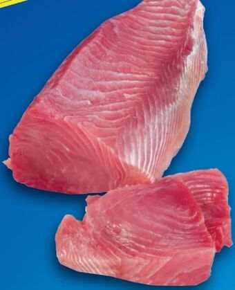 Metro Thunfisch loins Angebot