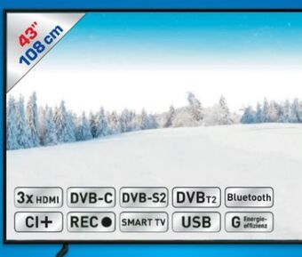 Metro Qled tv 43q60b Angebot