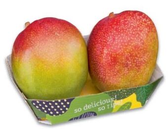 Metro Mango twinpack Angebot