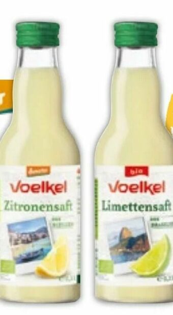 Pure Würzsäfte