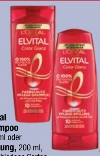 Maximarkt Elvital shampoo Angebot
