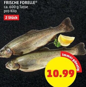 PENNY Frische Forelle 600 g Angebot
