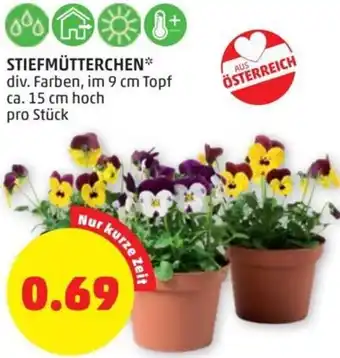 PENNY Stiefmütterchen 9 cm Angebot