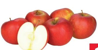 Transgourmet Äpfel Angebot