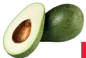 Transgourmet Avocado hass Angebot