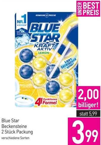 Sutterlüty Blue Star Beckensteine 2 Stk. Packung Angebot