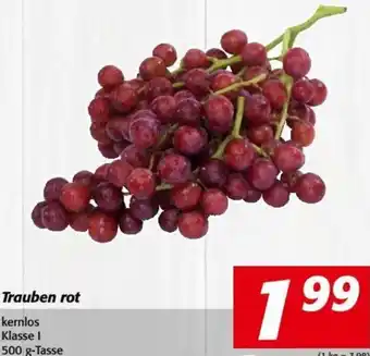Nah&Frisch Trauben rot 500 g-Tasse Angebot