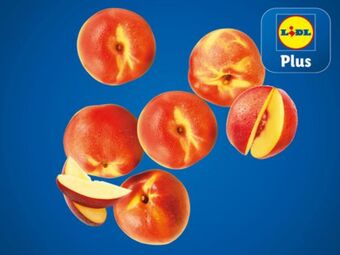 Lidl Nektarinen Angebot