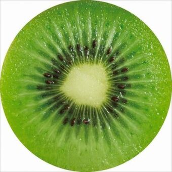 Möbelix Sitzkissen fruits Angebot