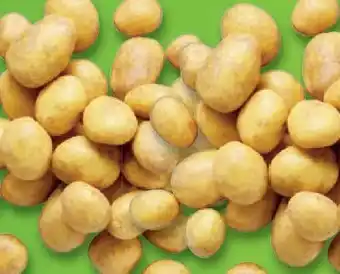 Lidl Bio kartoffeln Angebot