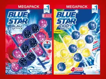 Lidl Blue star wc-steine Angebot