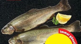 PENNY Forelle Angebot