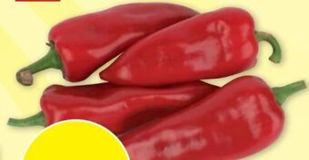 PENNY Spitzpaprika Angebot