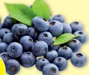 PENNY Heidelbeeren Angebot