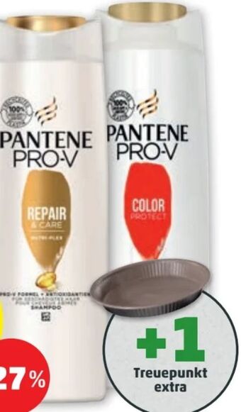 PENNY Shampoo Angebot