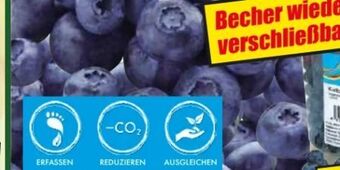 Norma Premium heidelbeeren Angebot