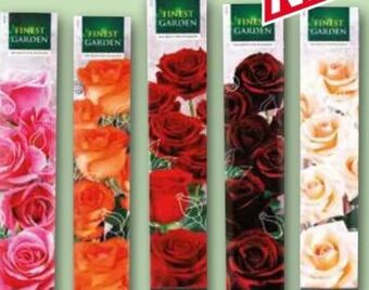 Norma Premium duftrosen Angebot