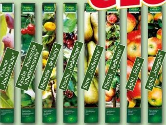 Norma Obstbäume Angebot