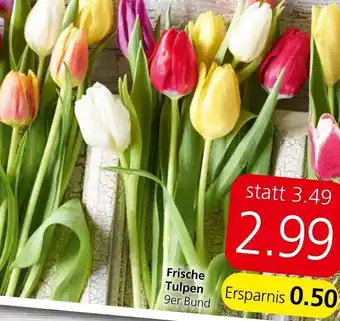 Spar Frische Tulpen 9er Bund Angebot