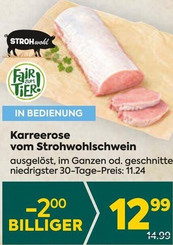 Billa Karreerose vom Strohwohlschwein Angebot