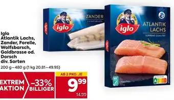 Billa Iglo Atlantik Lachs, Zander, Forelle, Wolfsbarsch, Goldbrasse od. Dorsch div. Sorten 200g- 480 g Angebot