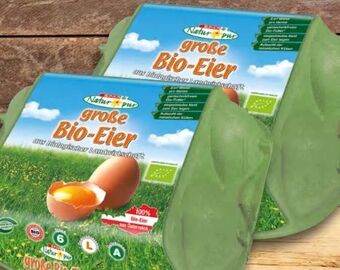Spar Bio-eier Angebot