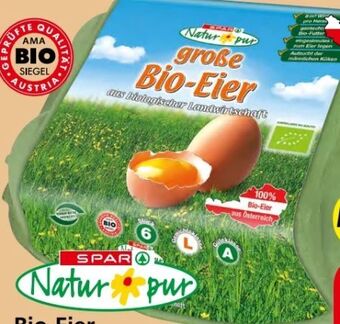 Eurospar Bio-eier Angebot