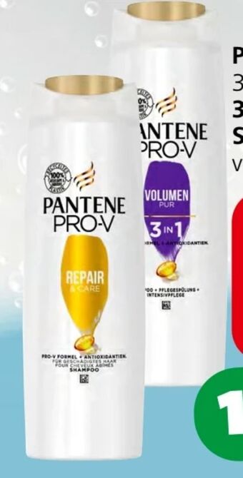 Eurospar Shampoo Angebot