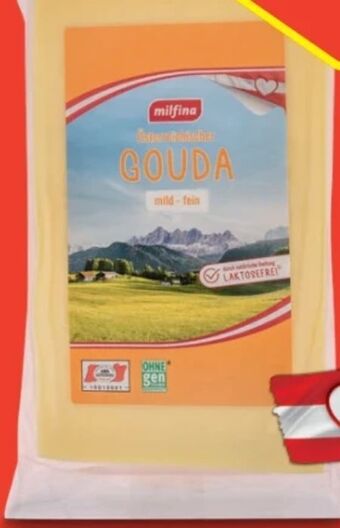 Hofer Gouda Angebot