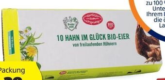 Hofer Bio-eier Angebot