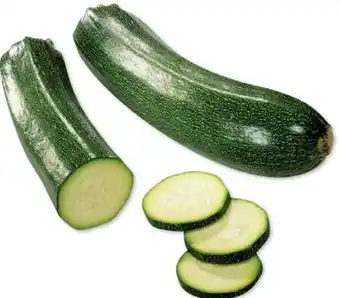 Basic Zucchini Angebot