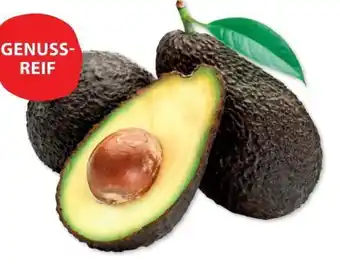Basic Avocado hass Angebot