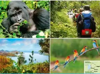Hofer Reisen Rundreise ruanda Angebot