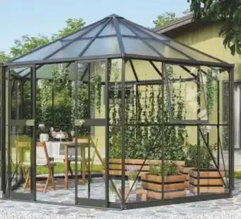 Tchibo Eduscho Gewächshaus pavillon Angebot