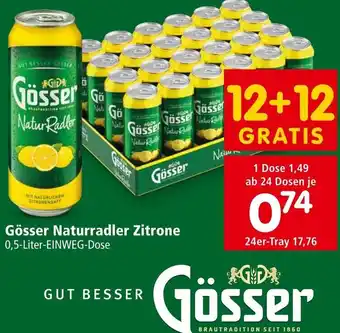 Interspar Gösser Naturradler 0.5 Liter Angebot