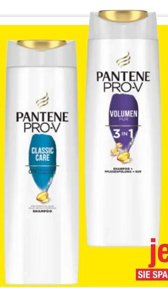 Maximarkt Shampoo Angebot