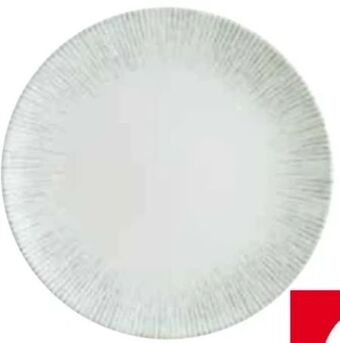 Transgourmet Teller iris Angebot