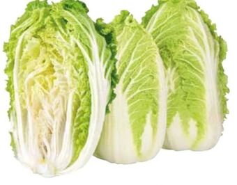 Transgourmet Chinakohl Angebot