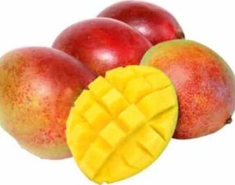 Transgourmet Mango Angebot