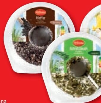 Lidl Frischkäse Angebot