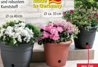 Norma Blumentopf flora Angebot