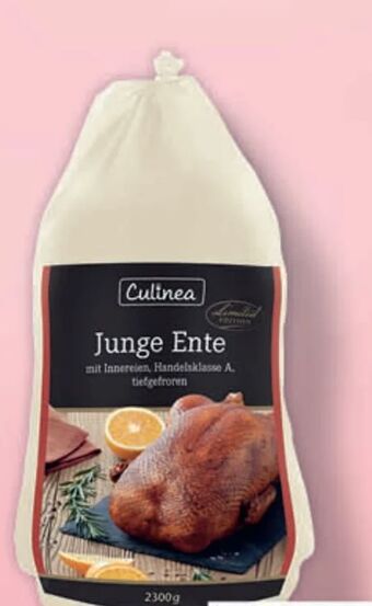 Lidl Junge ente Angebot