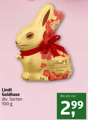 ADEG Lindt Goldhase 100g Angebot