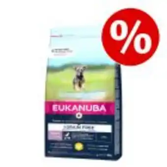 Zooplus 3 kg / 12 kg eukanuba grain free zum sonderpreis! Angebot