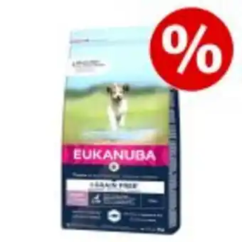Zooplus 3 kg / 12 kg eukanuba grain free hundefutter zum sonderpreis! Angebot