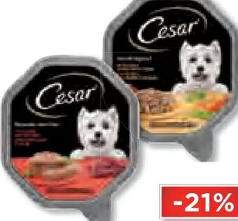 Unimarkt Hundenahrung schale Angebot